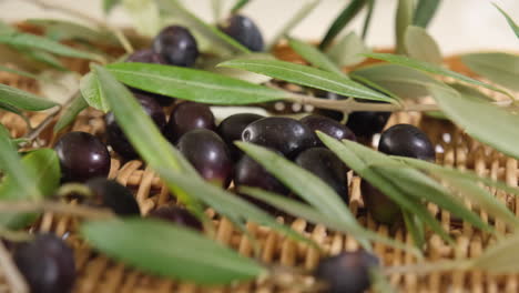 Aceitunas-Orgánicas-Crudas-Y-Hojas-De-Ramas-Después-De-La-Cosecha,-Listas-Para-Aceite-Virgen-Extra