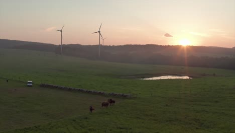 Wind-turbines-with-horses-grazing-in-foreground