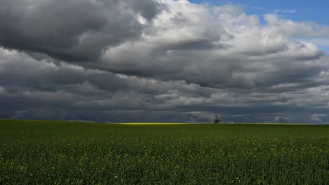time lapse video of storm clouds over a wide, green agricultural field. the light highlights patches of the yellow-green crops, creating a striking contrast with the ominous sky above.