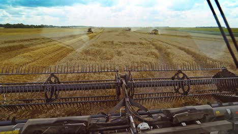 Interior cabin view during harvest of wheat. Farmer controlling combine during harvest