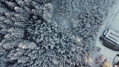 Bosque-Nevado-De-Invierno-Con-Un-Río-Que-Fluye-Desde-La-Vista-Superior