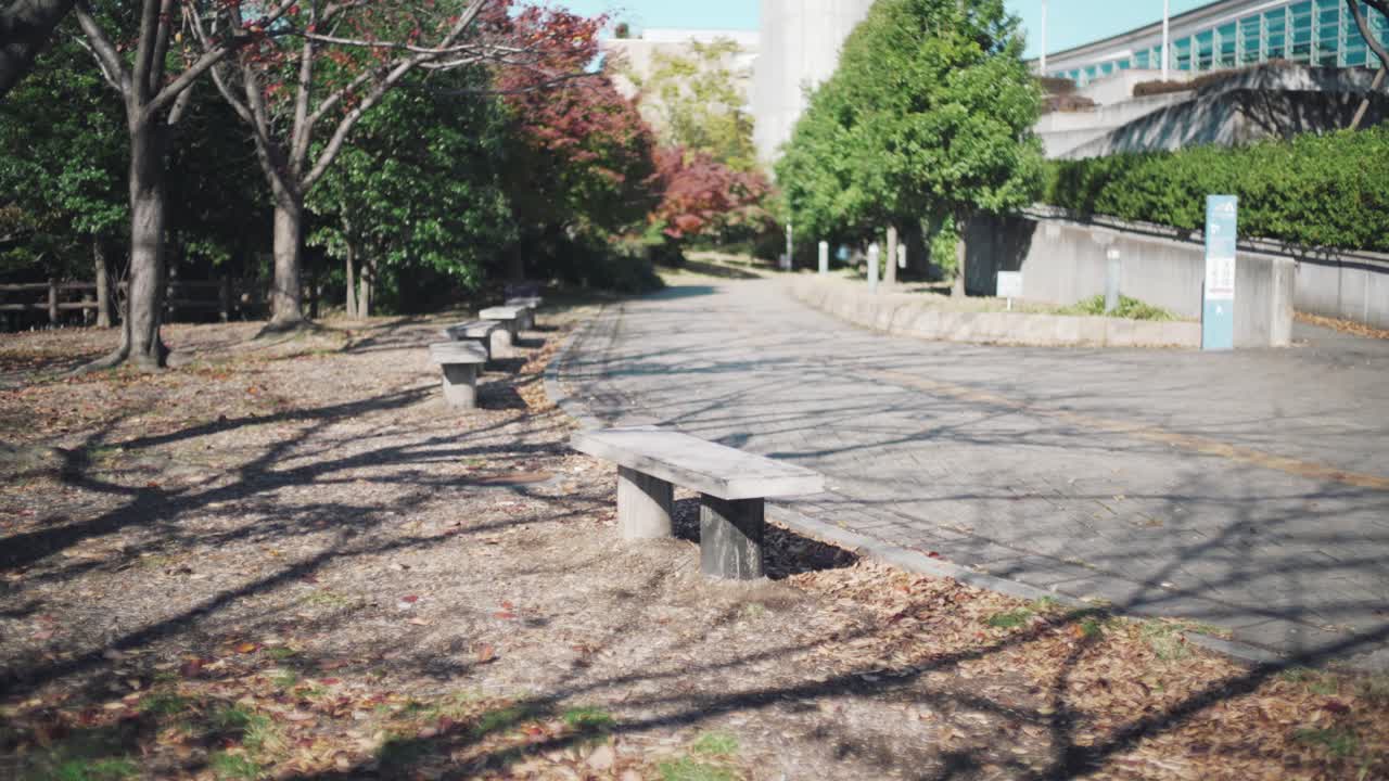 화창한 날 일본 도쿄에서 가을철 바람에 떨어진 붉은 잎