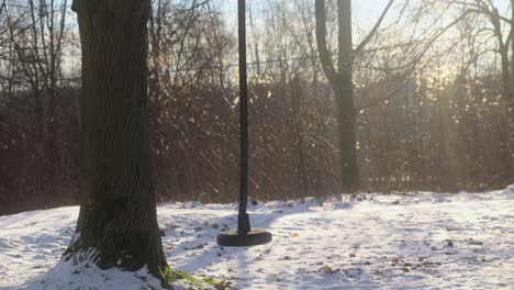 Ruhige-Winterszene-Mit-Einer-Schneebedeckten-Landschaft-Und-Einer-Schaukel,-Die-An-Einem-Stabilen-Baum-Hängt-Und-In-Den-Sanften-Schein-Des-Sonnenlichts-Getaucht-Ist