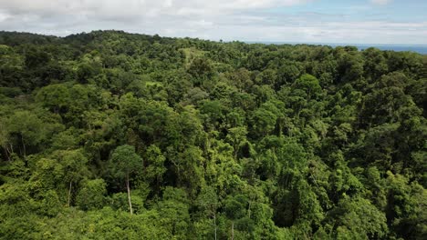 Riesiger-üppiger-Tropischer-Regenwalddschungel-In-Costa-Rica-Unter-Bewölktem-Himmel