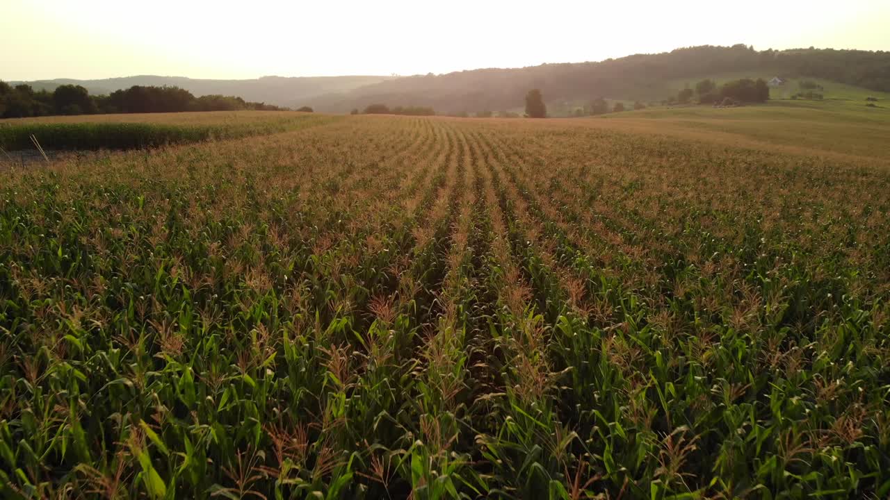vista aérea lenta de un campo en maine, estados unidos de américa