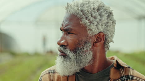 senior man, farmer and thinking in a greenhouse