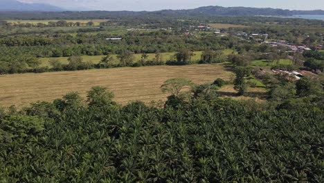 Paisaje-Montañoso-Tropical-Que-Rodea-Las-Plantaciones-De-Aceite-De-Palma-Cerca-De-Quepos,-Costa-Rica