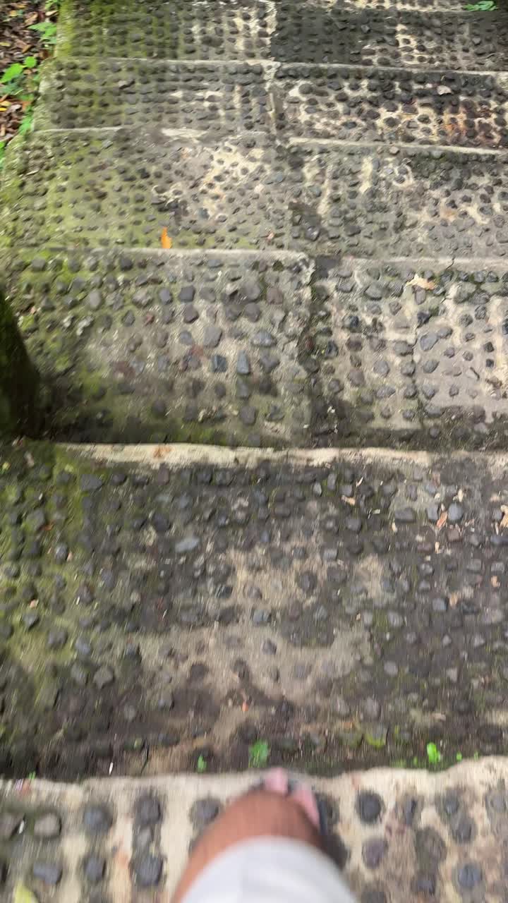 First Person View of Feet Walking Down Mossy Outdoor Stairs