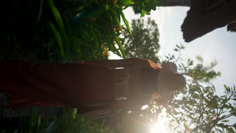 woman walking on a tropical path at sunset