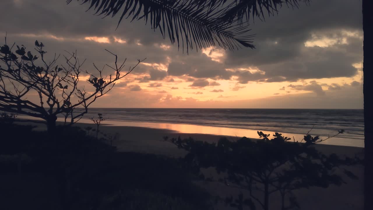 Ripresa aerea con drone tra palme e spiaggia all'alba o al tramonto, inquadratura d'apertura