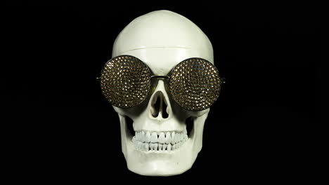 human skull with sunglasses