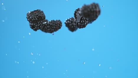 A-bunch-of-wet-blackberries-launched-in-air,-spinning-while-flying