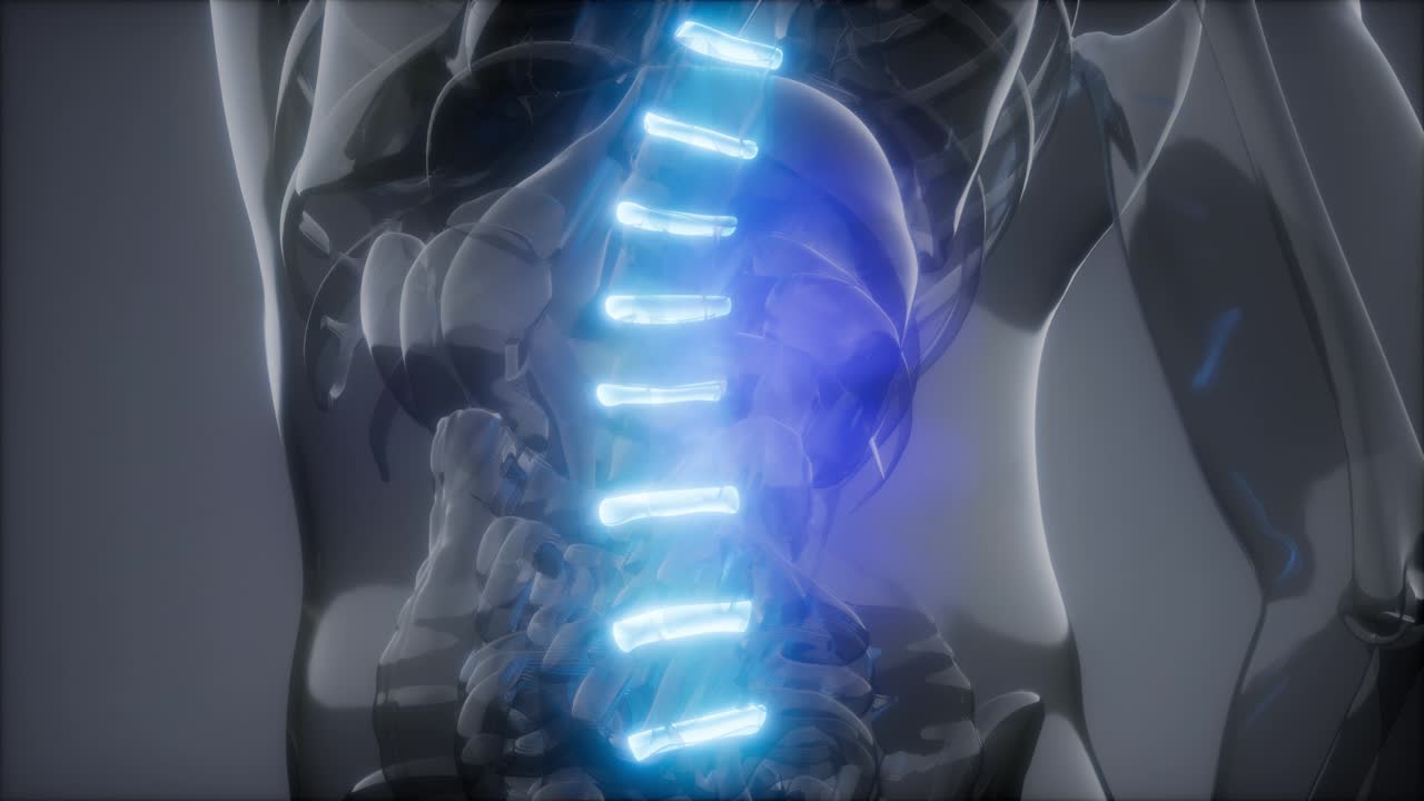 허리  ⁇ 에 허리 통증