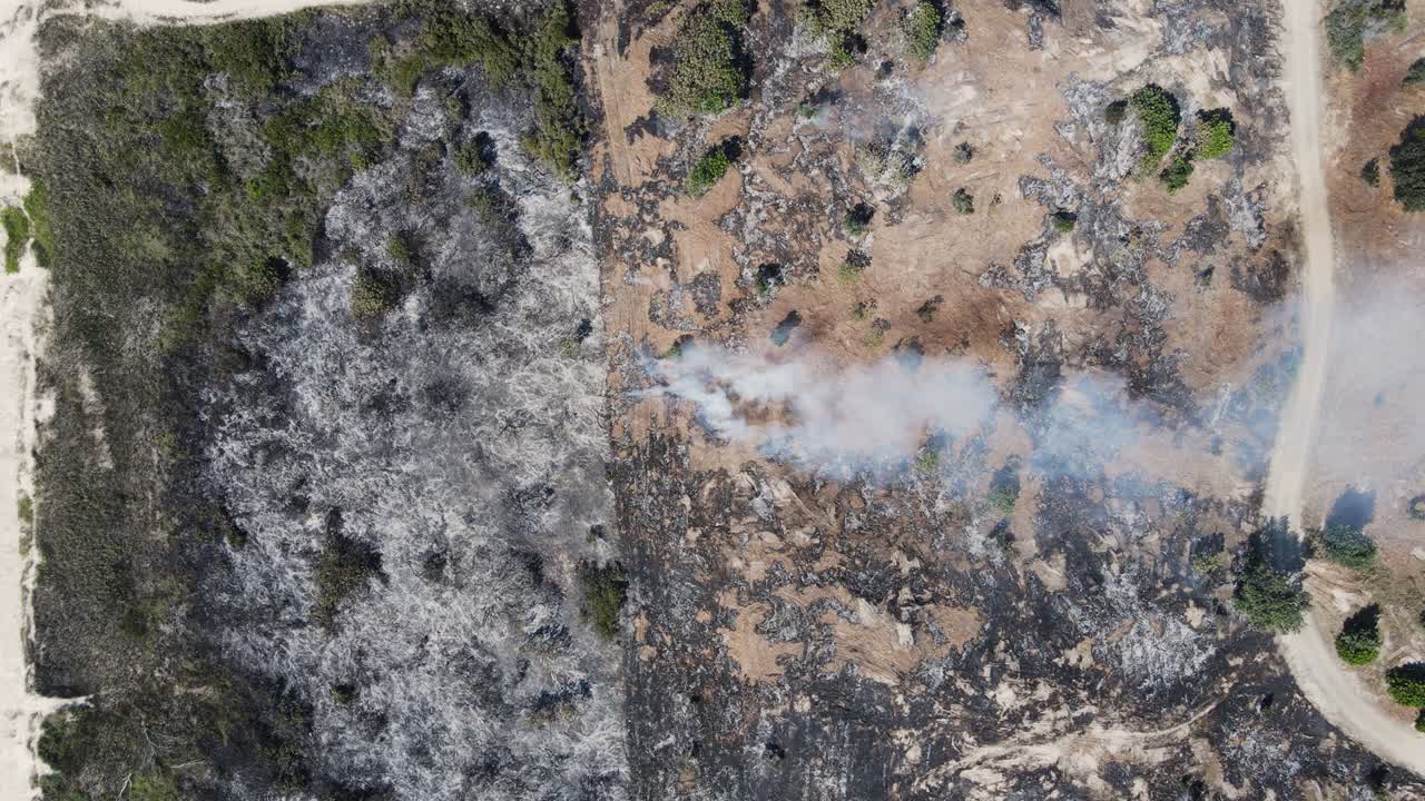 el humo que se eleva de los restos carbonizados de un incendio creando patrones artísticos en la tierra quemada.