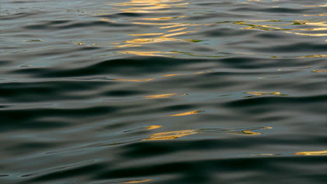 light reflects off the smooth rippling water