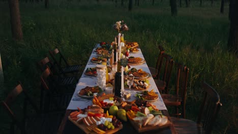 rustic outdoor dinner party