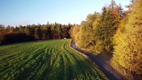 Ciclista-En-Un-Camino-De-Tierra-Fangoso-Bordeado-De-árboles-Otoñales-A-Lo-Largo-De-Un-Campo-Verde-En-Bohucovice,-República-Checa