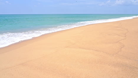 empty exotic sandy beach and turquoise tropical sea with light waves on hot sunny day