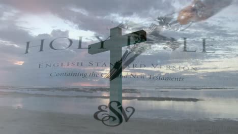 cruz en la orilla