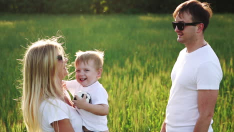 family walking in field carrying young baby son