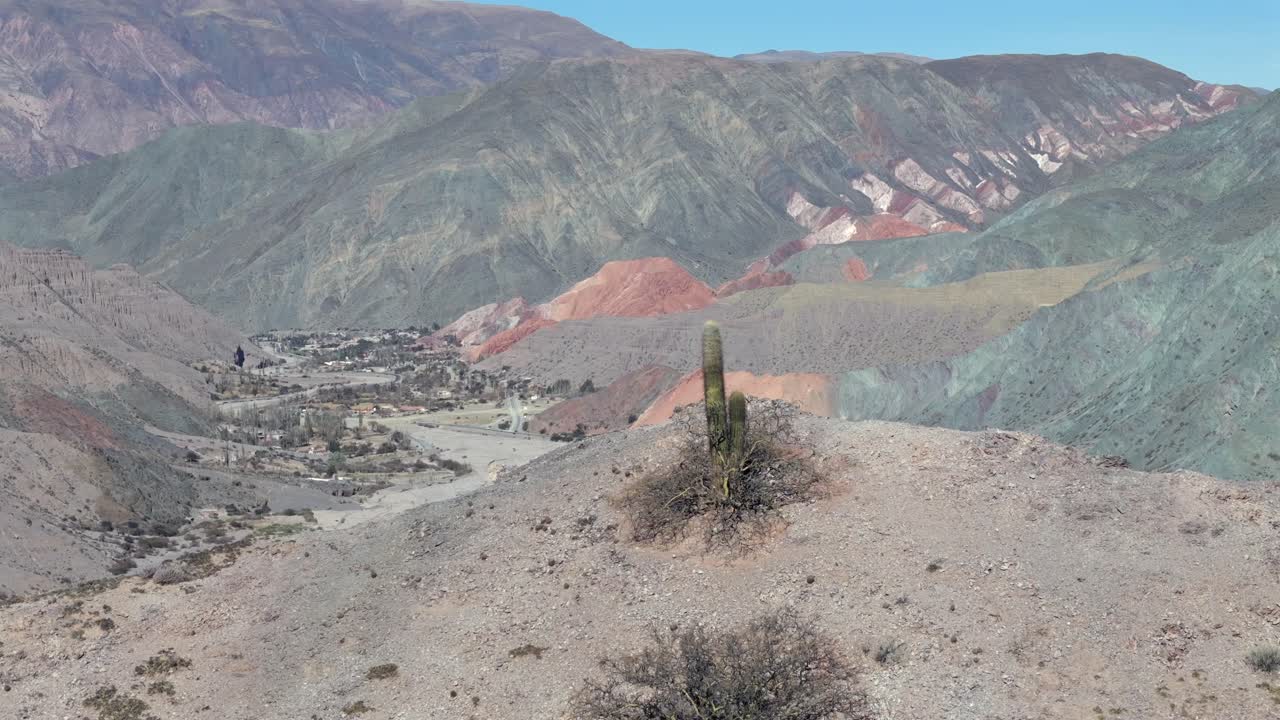 fotografía lateral de un pequeño cactus con el vibrante y colorido valle de purmamarca en el fondo