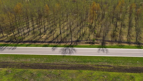 Single-gray-car-on-road-through-wooded-landscape,-aerial-shot-drone-pov