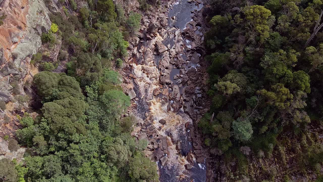 drone aéreo disparado desde arriba volando sobre un río que fluye a través del cañón de lavan, tasmania, australia en un brillante día soleado