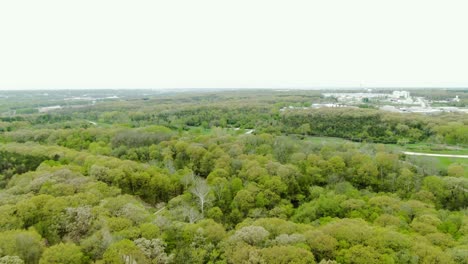 Toma-Aérea-Sobre-Un-Denso-Bosque-En-Un-área-Suburbana