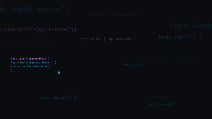 Go Programming Language Code Editor Interface