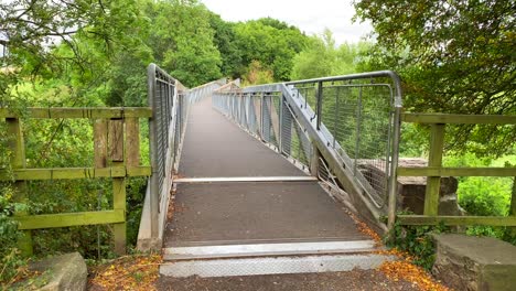 metal bridge, forest and green trees in chippenham england, 4k shot