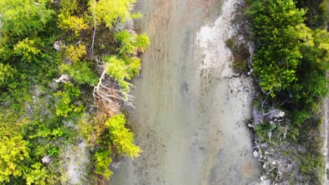 Vista-De-Arriba-Hacia-Abajo-Del-Río,-Elevándose-Por-Encima-Solo-Para-Vislumbrar-Brevemente-Una-Pequeña-Cascada-Debajo