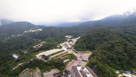 drone aéreo tiro hacia atrás de la plantación de frutas