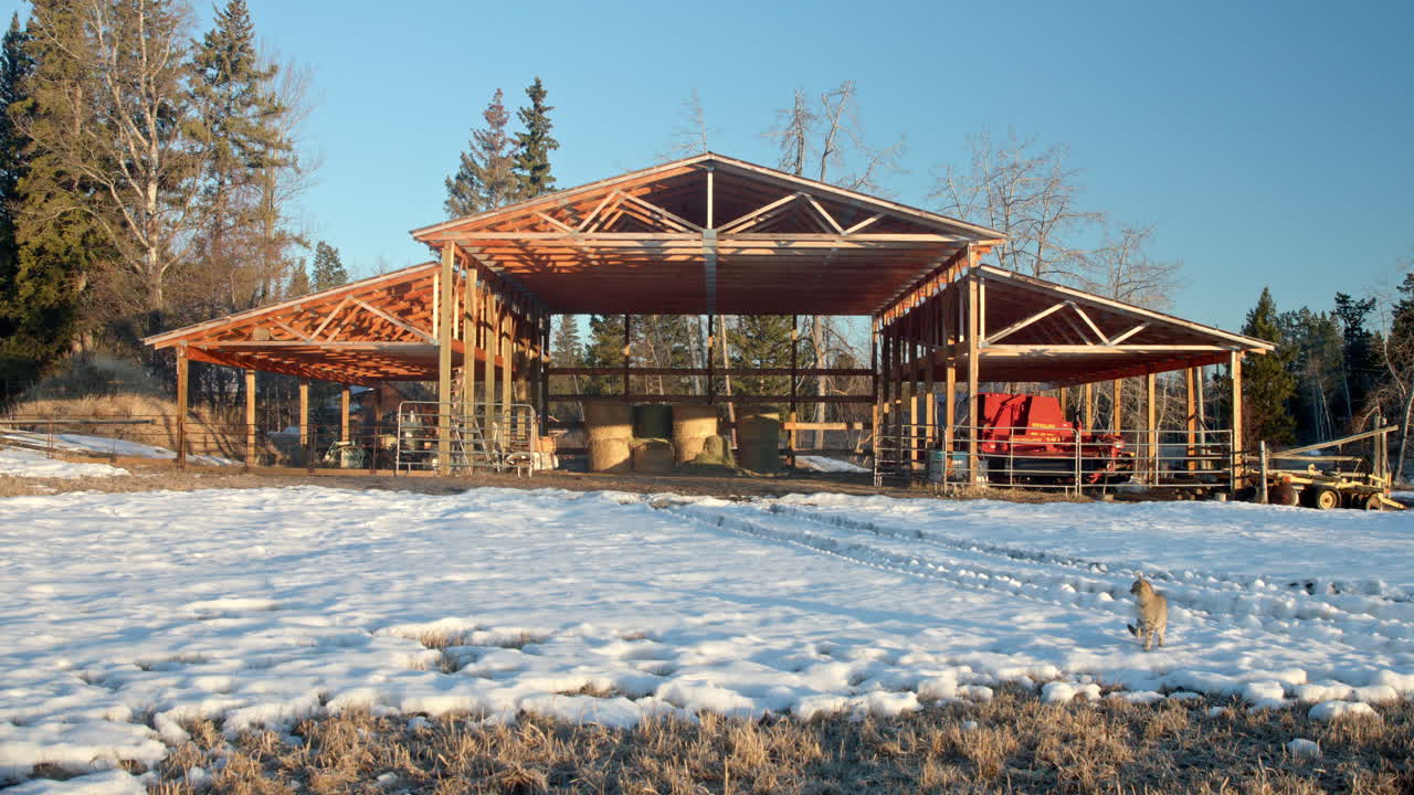 granero de heno vacío en un hermoso rancho nevado mientras un pequeño gato camina