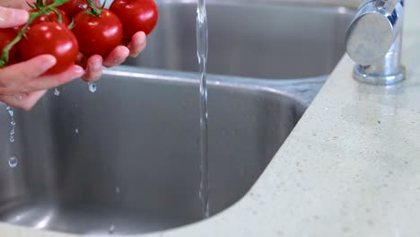 hands rinse tomatoes under running water in a kitchen sink, emphasizing cleanliness and freshness