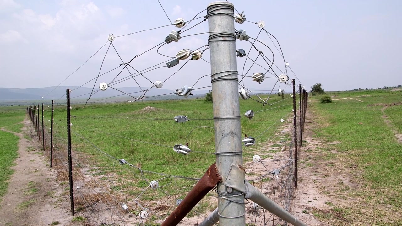 Cerca elétrica na África para proteger terras agrícolas de animais selvagens