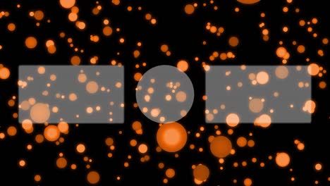 punto de grano se mueve tarjeta final pantalla final gráficos de movimiento
