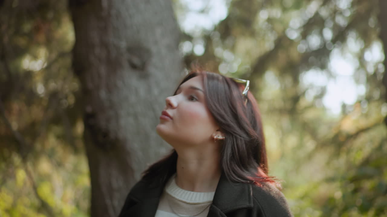 amante del otoño con abrigo oscuro de pie junto a un árbol alto, contemplando la copa con un suave brillo solar, un tranquilo telón de fondo forestal, gafas de sol en la cabeza, pausa contemplativa, estado de ánimo tranquilo en un bosque dorado de temporada