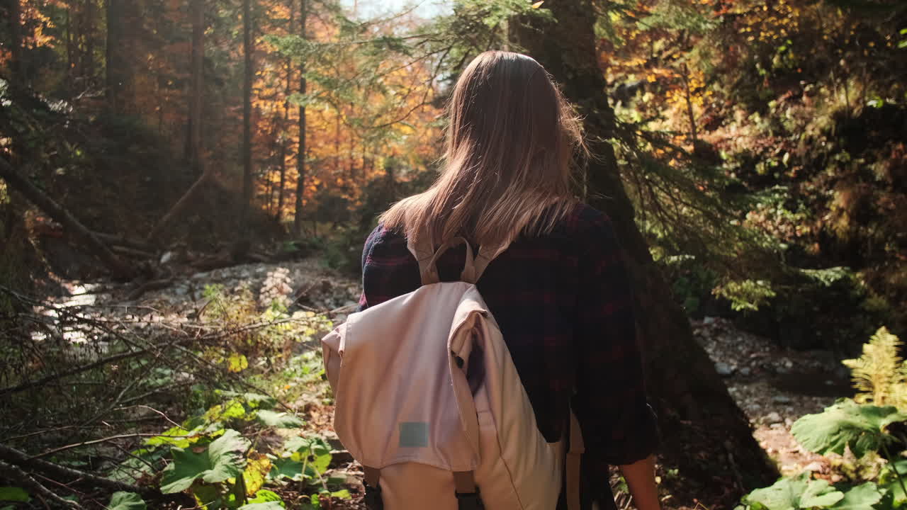 Woman Hiking in Autumn Forest