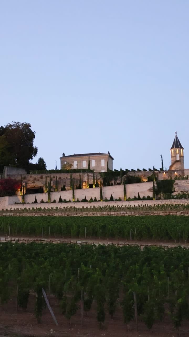 Chateau and vineyards at dusk in Bordeaux