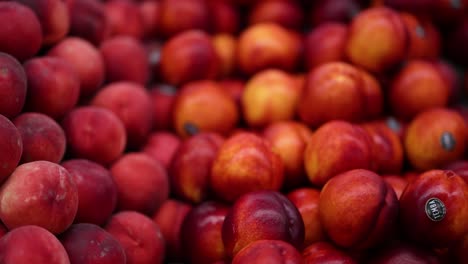 lapso de tiempo de las manzanas cambiando de color y madurando