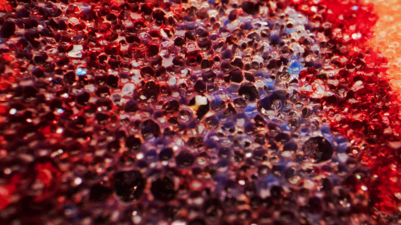 Close-up view of a textured sponge with vibrant colors