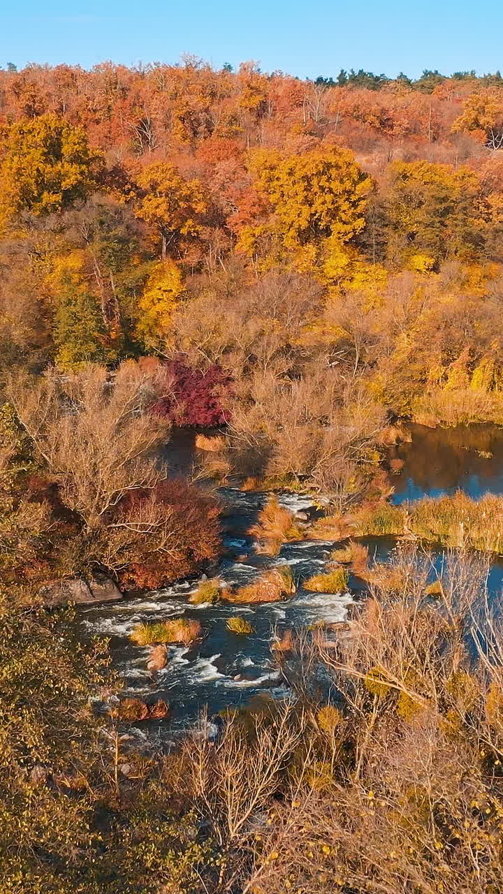 Brown tree colors forests. Autumn yellow nature river landscapes