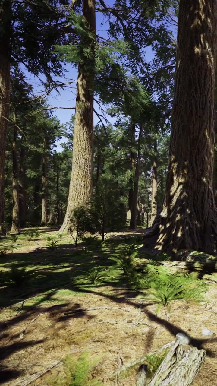 Alberi alti in una foresta con piante verdi e cielo azzurro limpido.