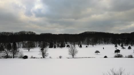 bosques áridos de invierno en michigan