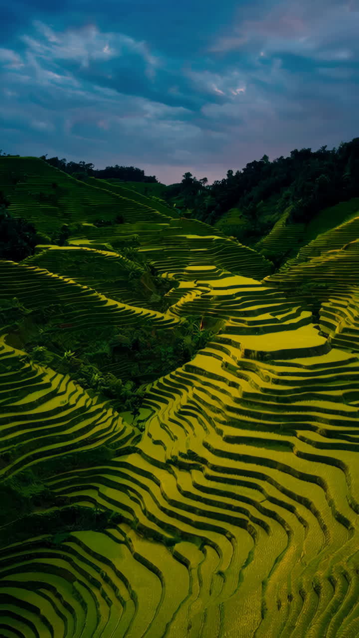 Stunning Sunset over Rice Terraces
