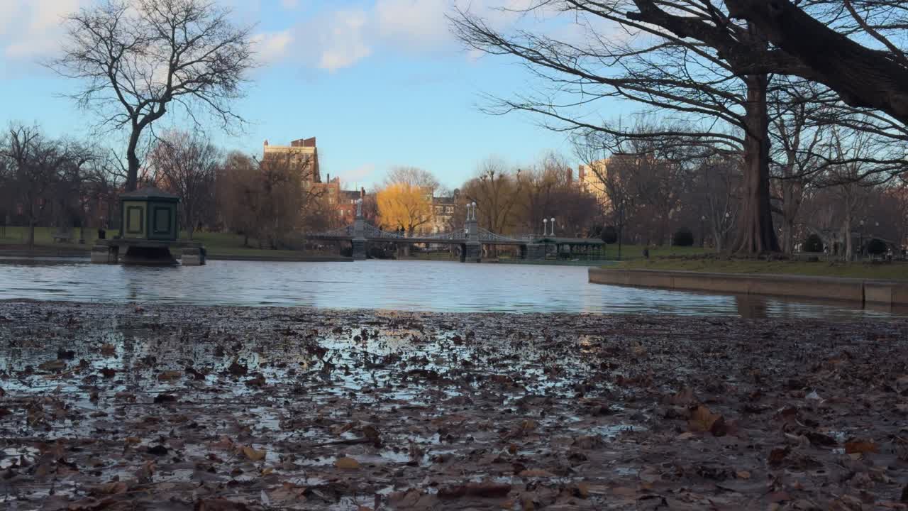 Boston Commons in early January 2025