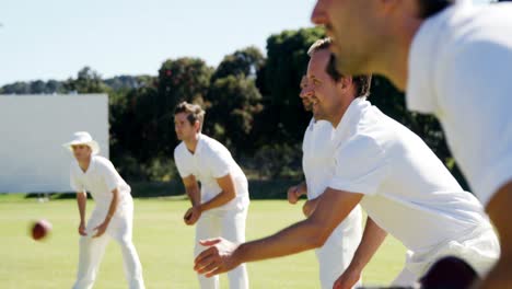 Jugadores-De-Cricket-Haciendo-Práctica-De-Captura