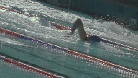 swimmers swim across a pool