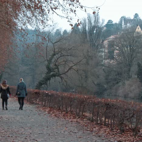 tuebingen from the bridge on neckar river