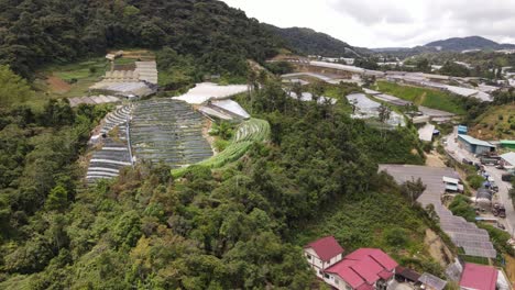 general landscape view of the brinchang district within the cameron highlands area of malaysia